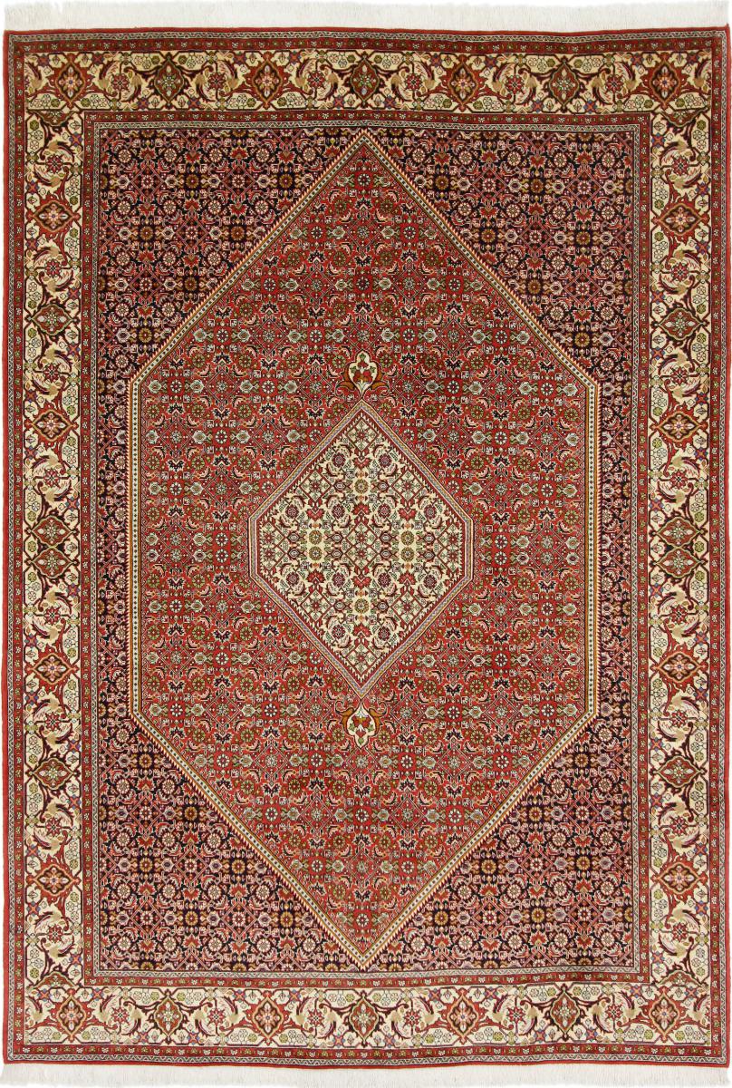 Persian Rug Bidjar 9'4"x6'6" 9'4"x6'6", Persian Rug Knotted by hand