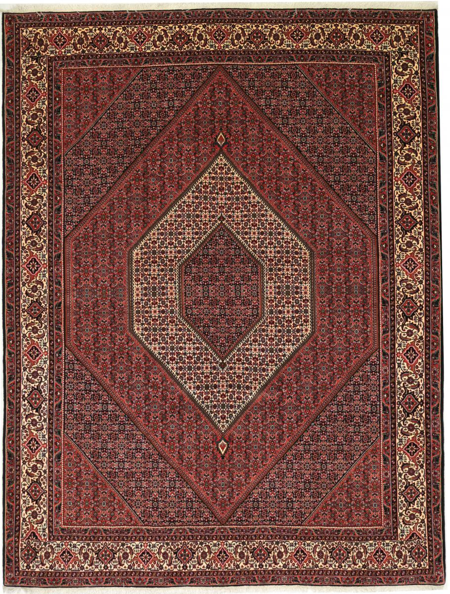 Persian Rug Bidjar Tekab 11'1"x8'6" 11'1"x8'6", Persian Rug Knotted by hand