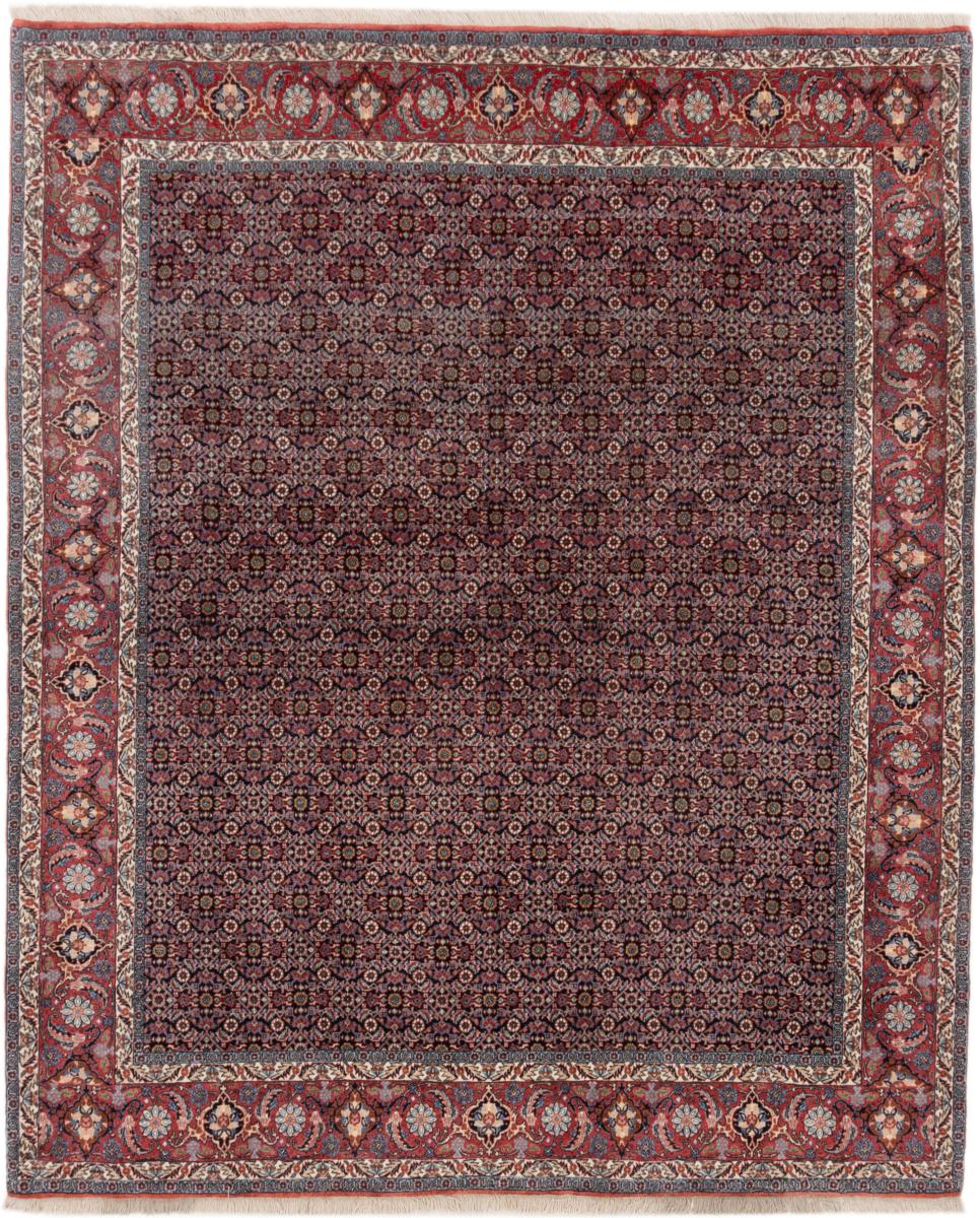 Persian Rug Bidjar 8'4"x6'11" 8'4"x6'11", Persian Rug Knotted by hand