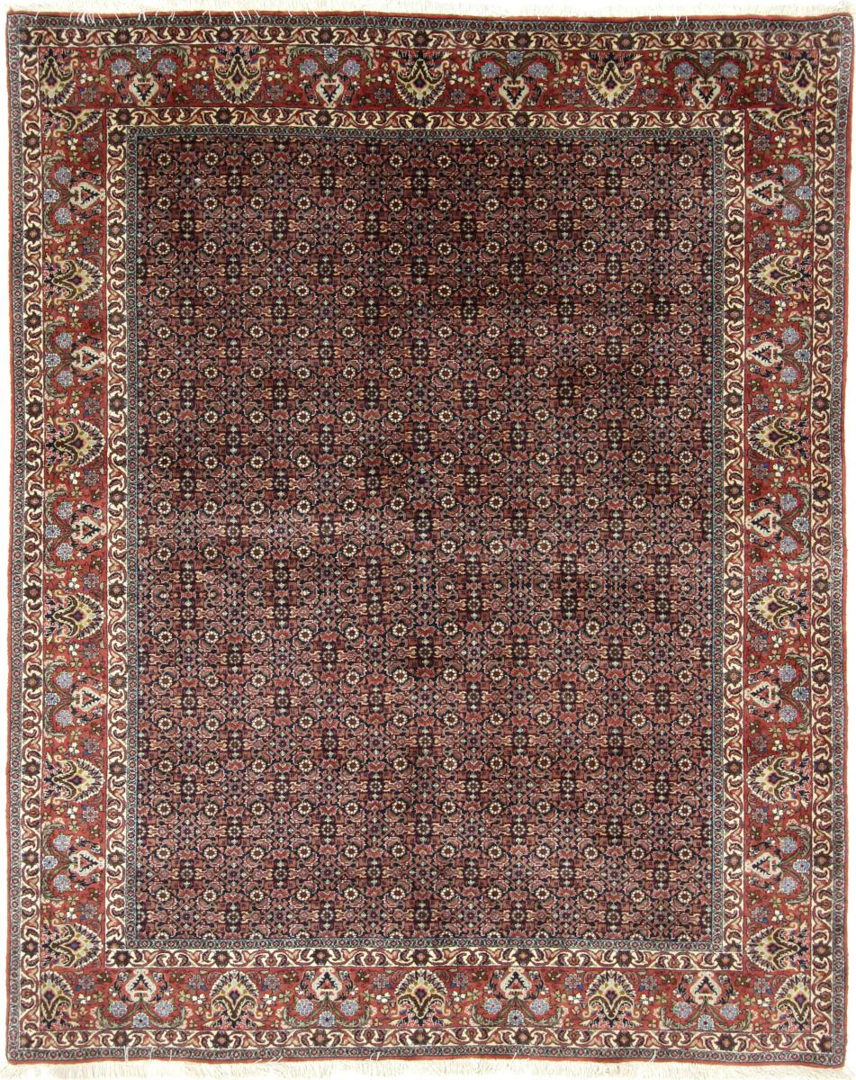  ペルシャ絨毯 ビジャー 246x195 246x195,  ペルシャ絨毯 手織り