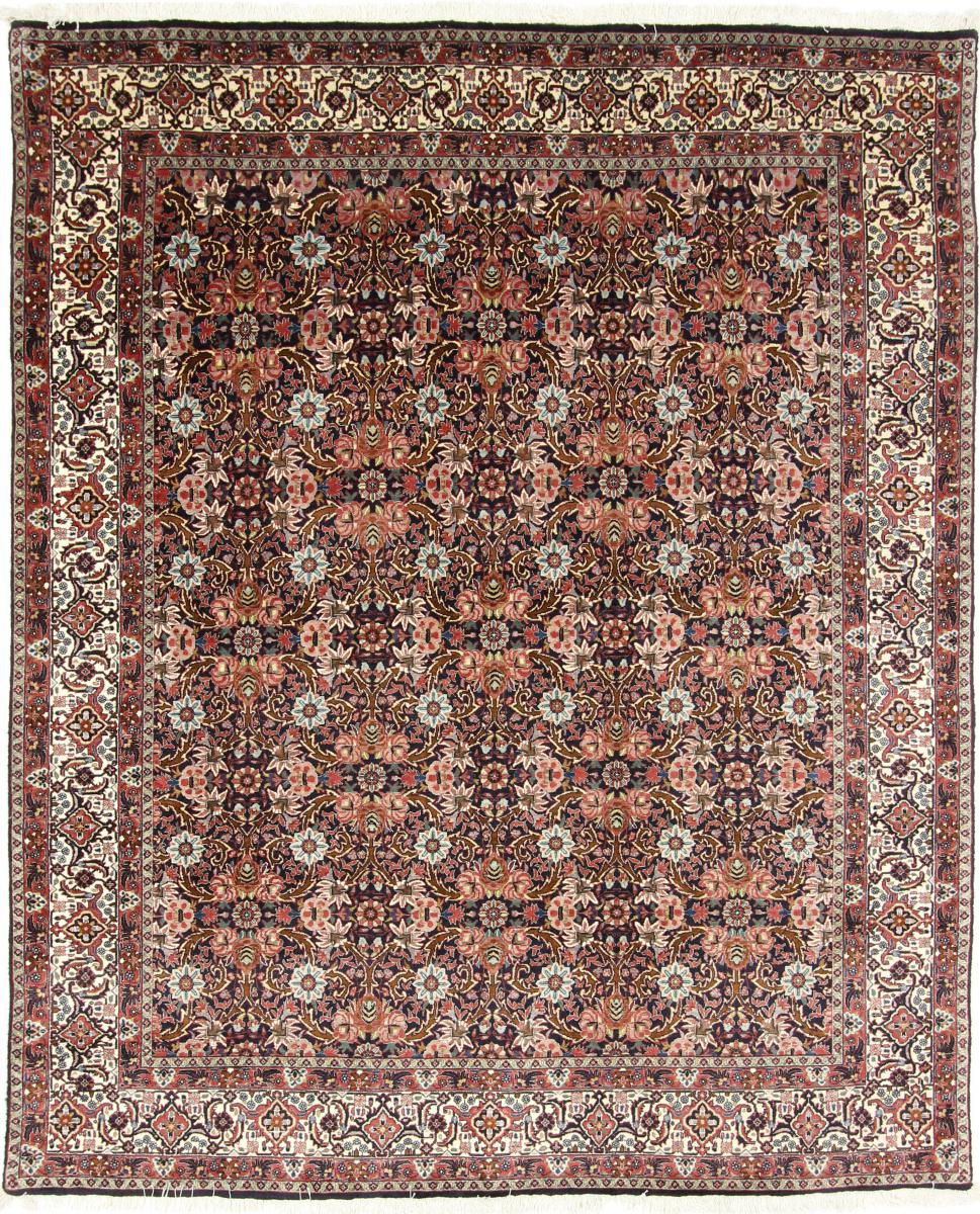 Tapis persan Bidjar 246x205 246x205, Tapis persan Noué à la main