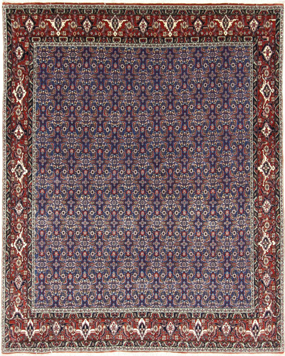 Persian Rug Bidjar 245x200 245x200, Persian Rug Knotted by hand