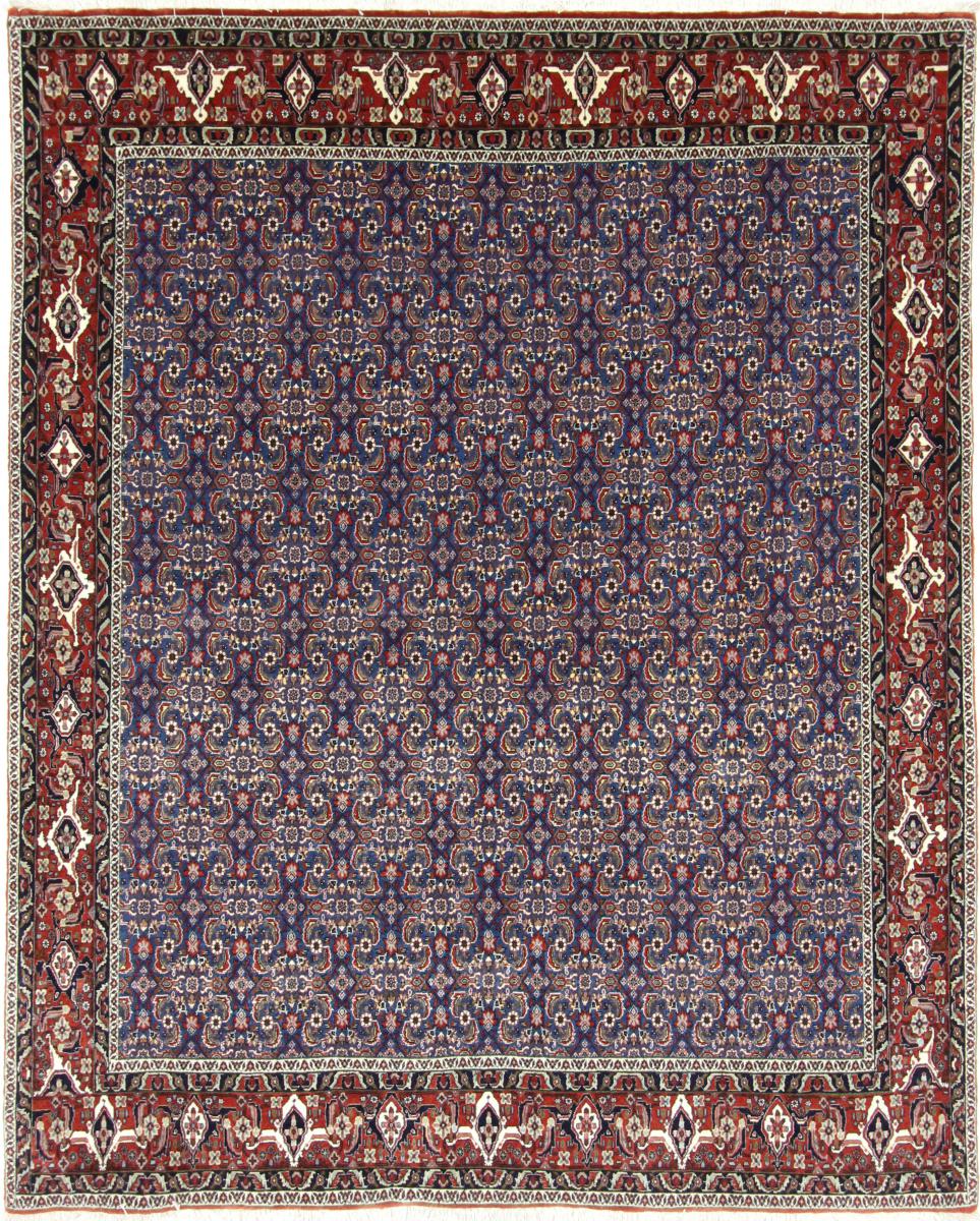 Persian Rug Bidjar 8'0"x6'7" 8'0"x6'7", Persian Rug Knotted by hand