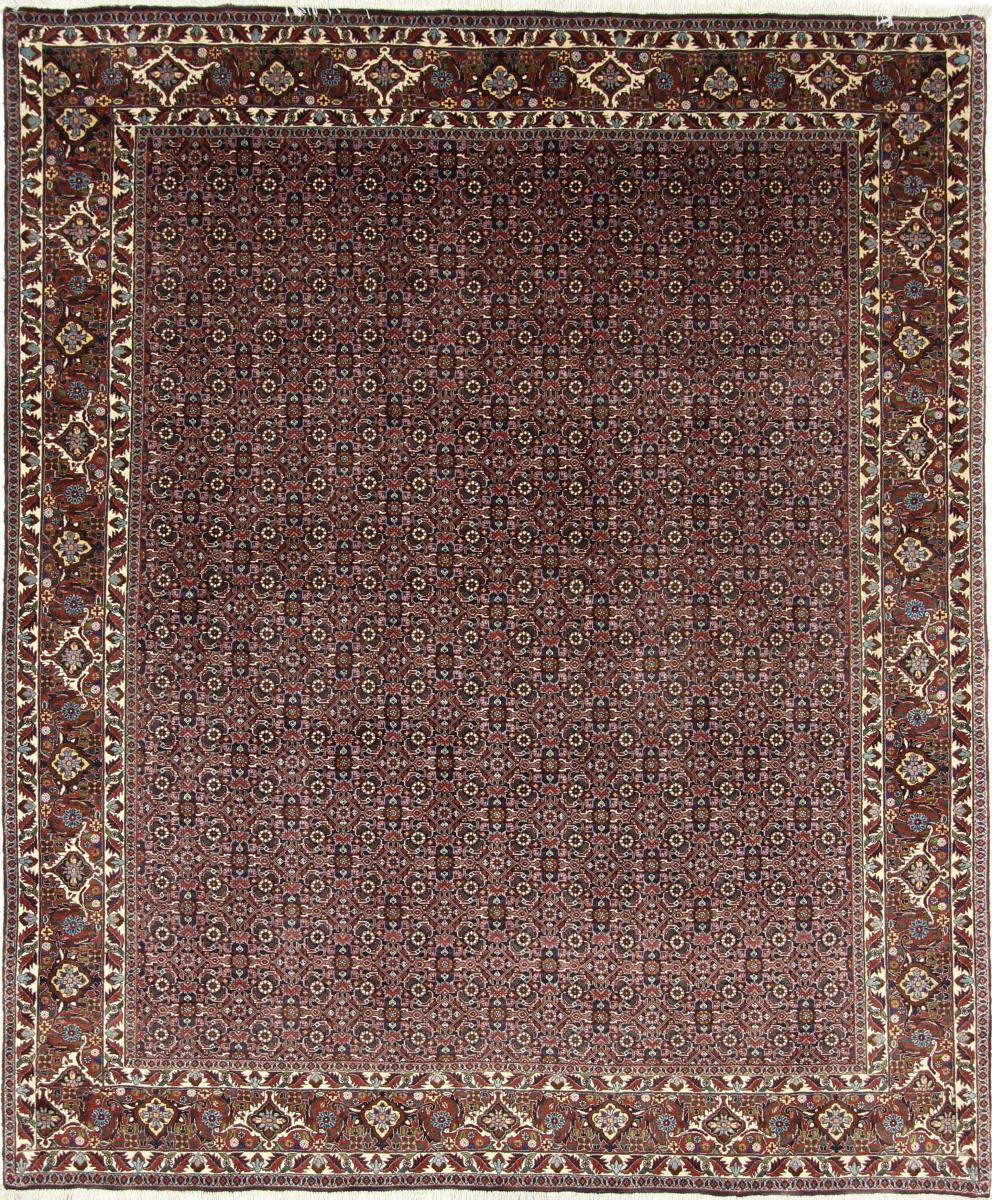 Persian Rug Bidjar 240x203 240x203, Persian Rug Knotted by hand