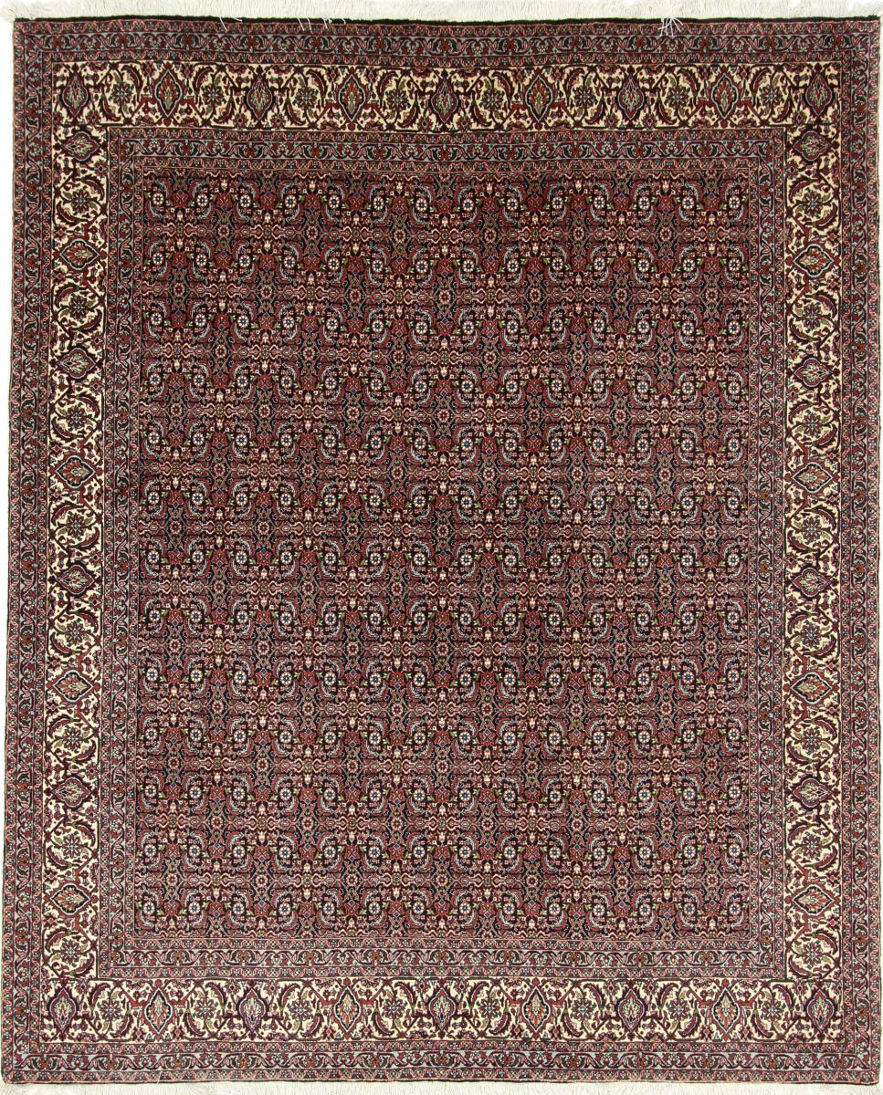 Tapis persan Bidjar 251x203 251x203, Tapis persan Noué à la main