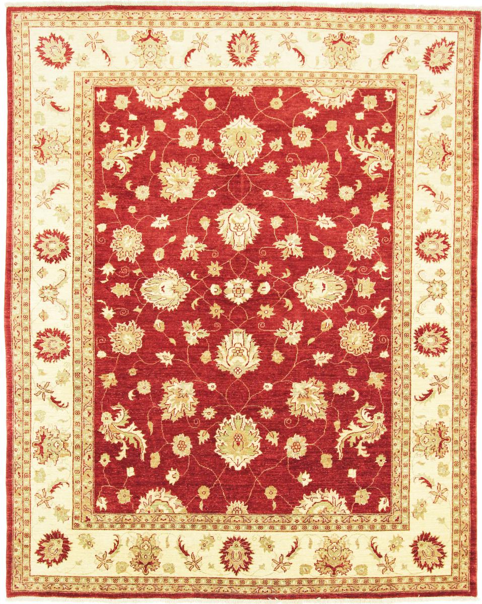 Pakistani rug Ziegler Farahan 9'10"x7'10" 9'10"x7'10", Persian Rug Knotted by hand