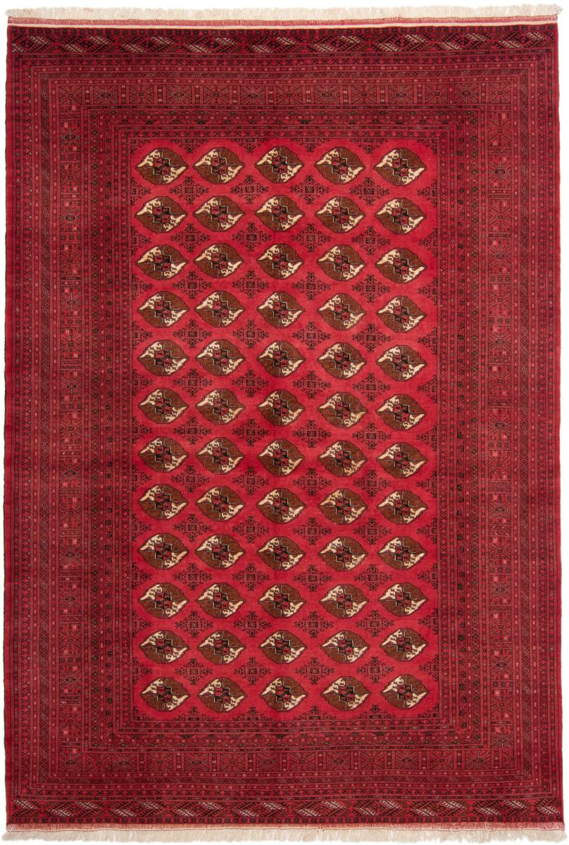 Persian Rug Turkaman 291x204 291x204, Persian Rug Knotted by hand