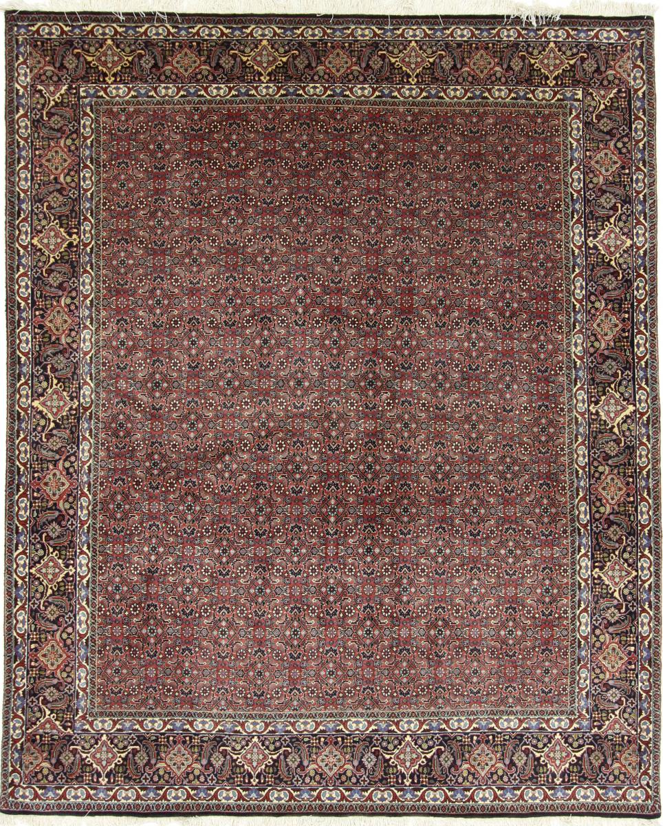  ペルシャ絨毯 ビジャー 8'0"x6'9" 8'0"x6'9",  ペルシャ絨毯 手織り