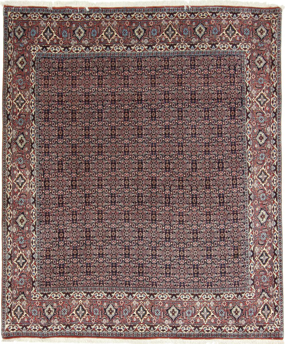 Tapis persan Bidjar 242x205 242x205, Tapis persan Noué à la main