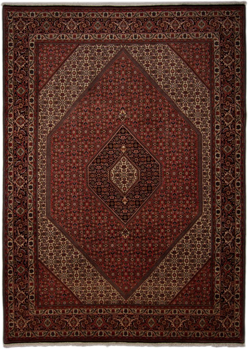  ペルシャ絨毯 ビジャー Tekab 11'3"x8'3" 11'3"x8'3",  ペルシャ絨毯 手織り