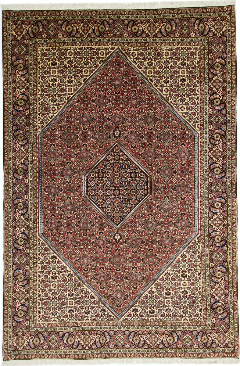 Perzisch tapijt Bidjar 9'8"x6'6" 9'8"x6'6", Perzisch tapijt Handgeknoopte