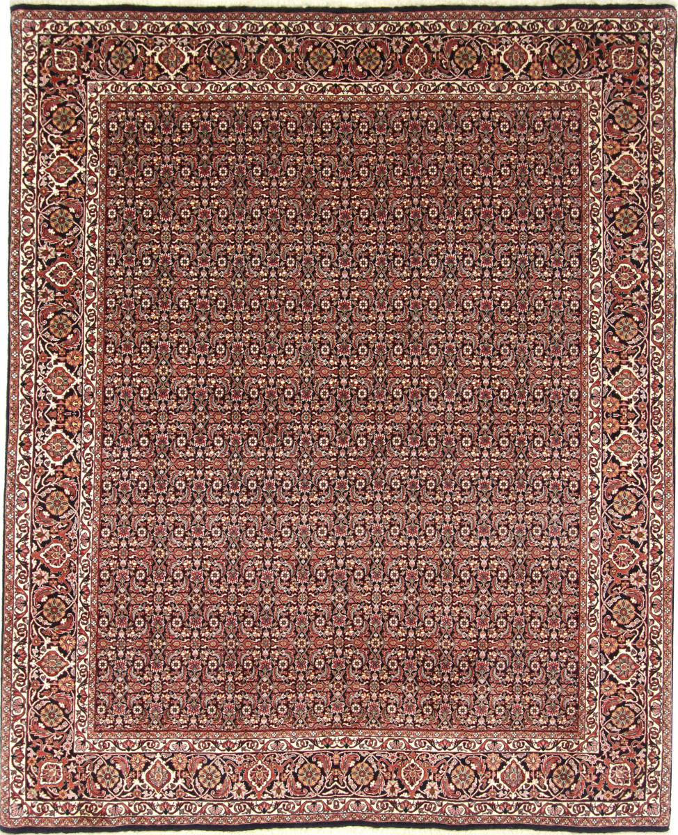  ペルシャ絨毯 ビジャー 254x208 254x208,  ペルシャ絨毯 手織り