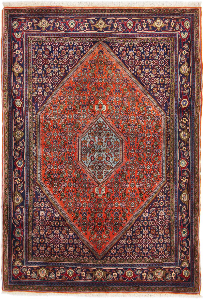 Persian Rug Bidjar 6'7"x4'7" 6'7"x4'7", Persian Rug Knotted by hand