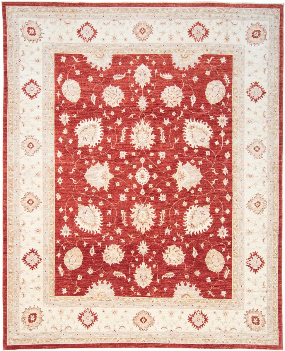 Pakisztáni szőnyeg Ziegler Farahan 9'9"x7'11" 9'9"x7'11", Perzsa szőnyeg Kézzel csomózva