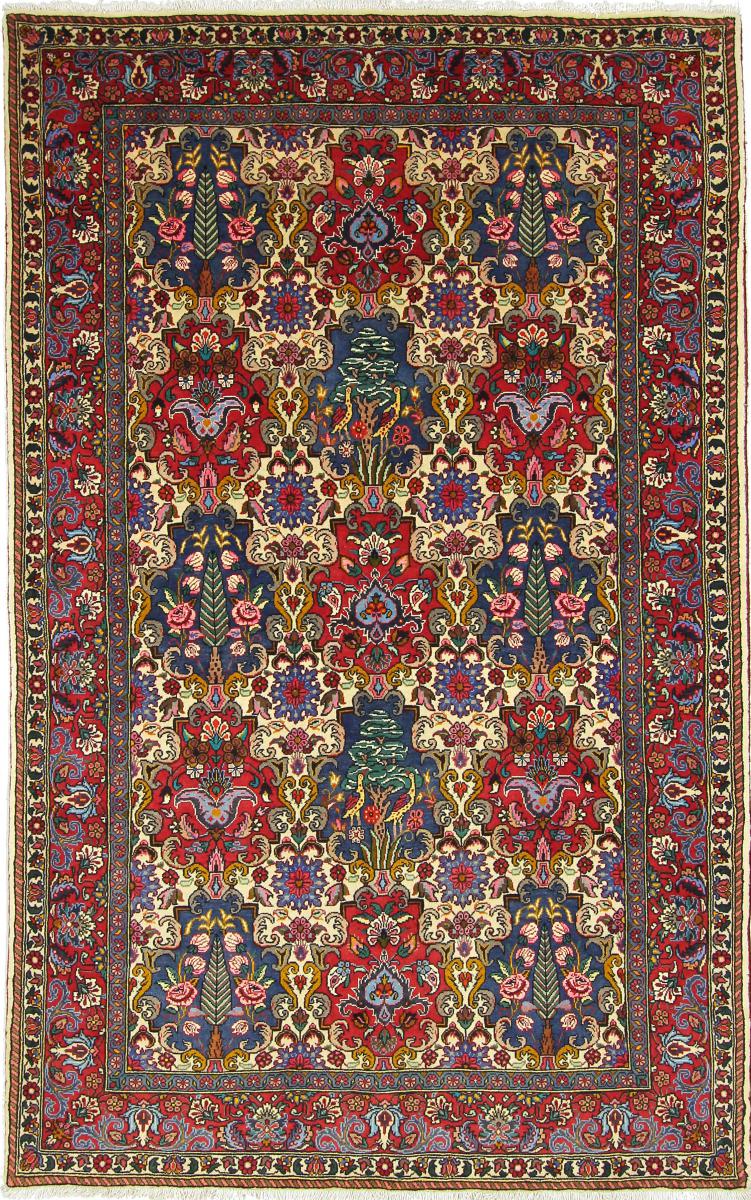 Persian Rug Bakhtiari Sherkat 8'4"x5'1" 8'4"x5'1", Persian Rug Knotted by hand