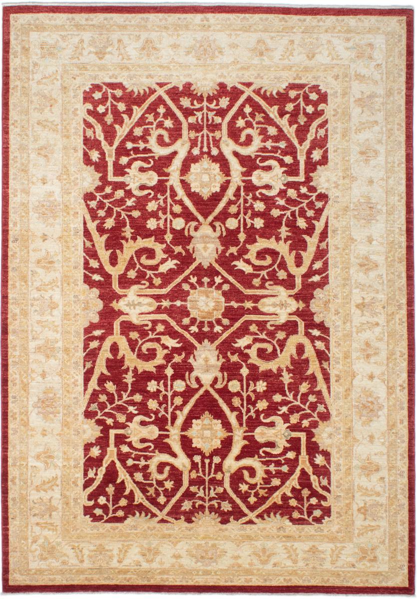 Pakistani rug Ziegler Farahan Arijana 8'2"x5'7" 8'2"x5'7", Persian Rug Knotted by hand