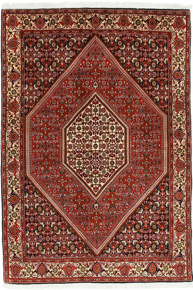 Persian Rug Bidjar 166x117 166x117, Persian Rug Knotted by hand