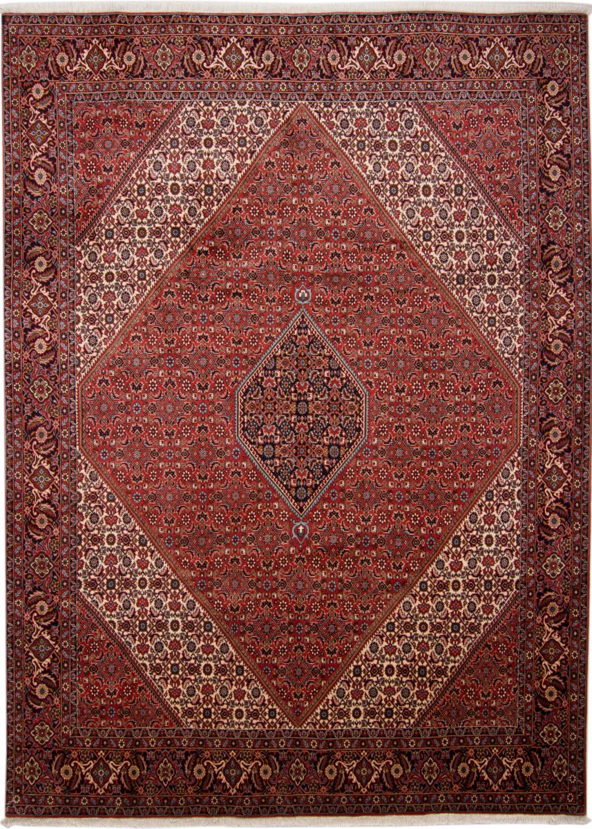  ペルシャ絨毯 ビジャー Tekab 11'2"x8'3" 11'2"x8'3",  ペルシャ絨毯 手織り