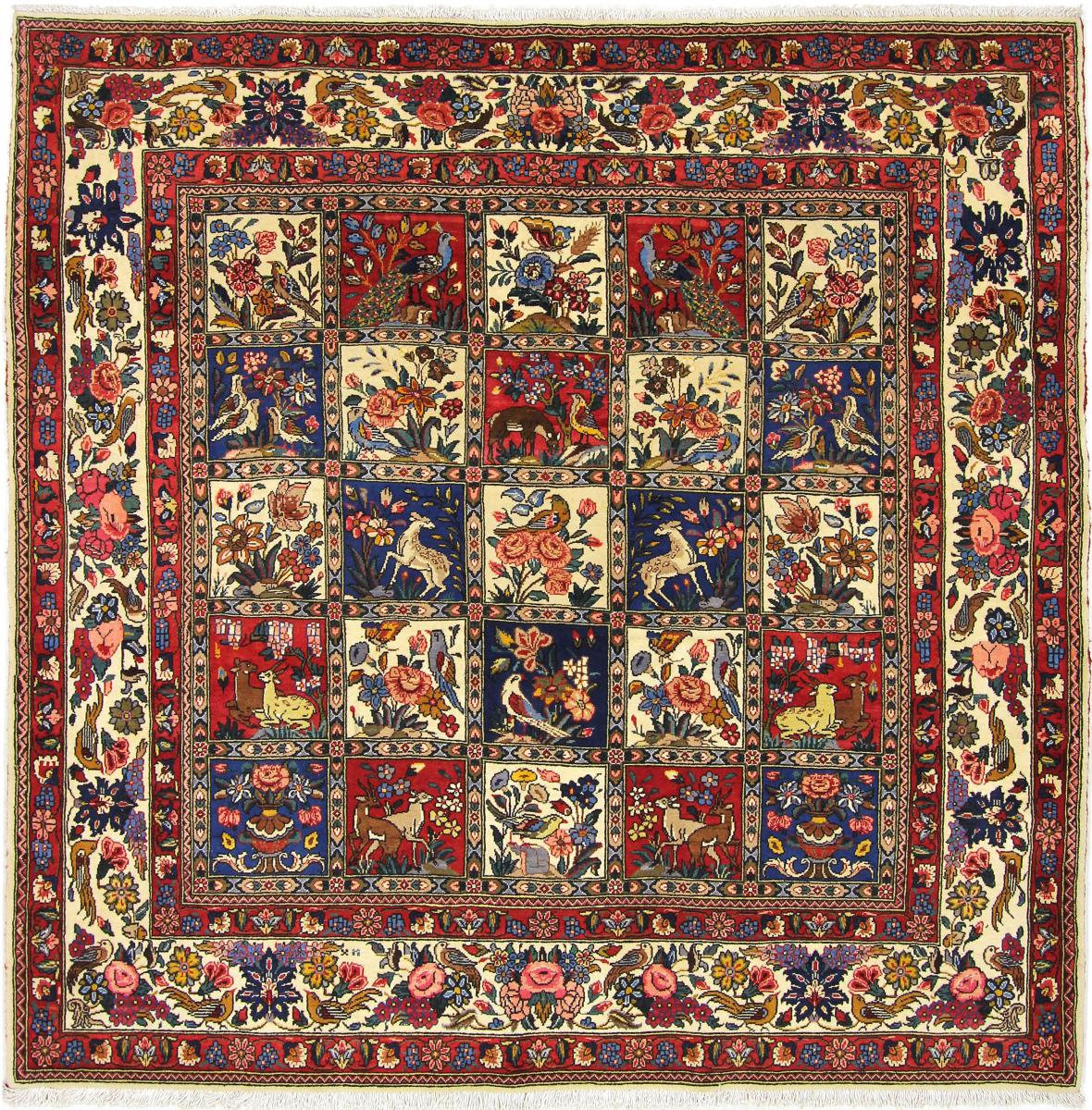 Persian Rug Bakhtiari Sherkat 6'11"x6'11" 6'11"x6'11", Persian Rug Knotted by hand