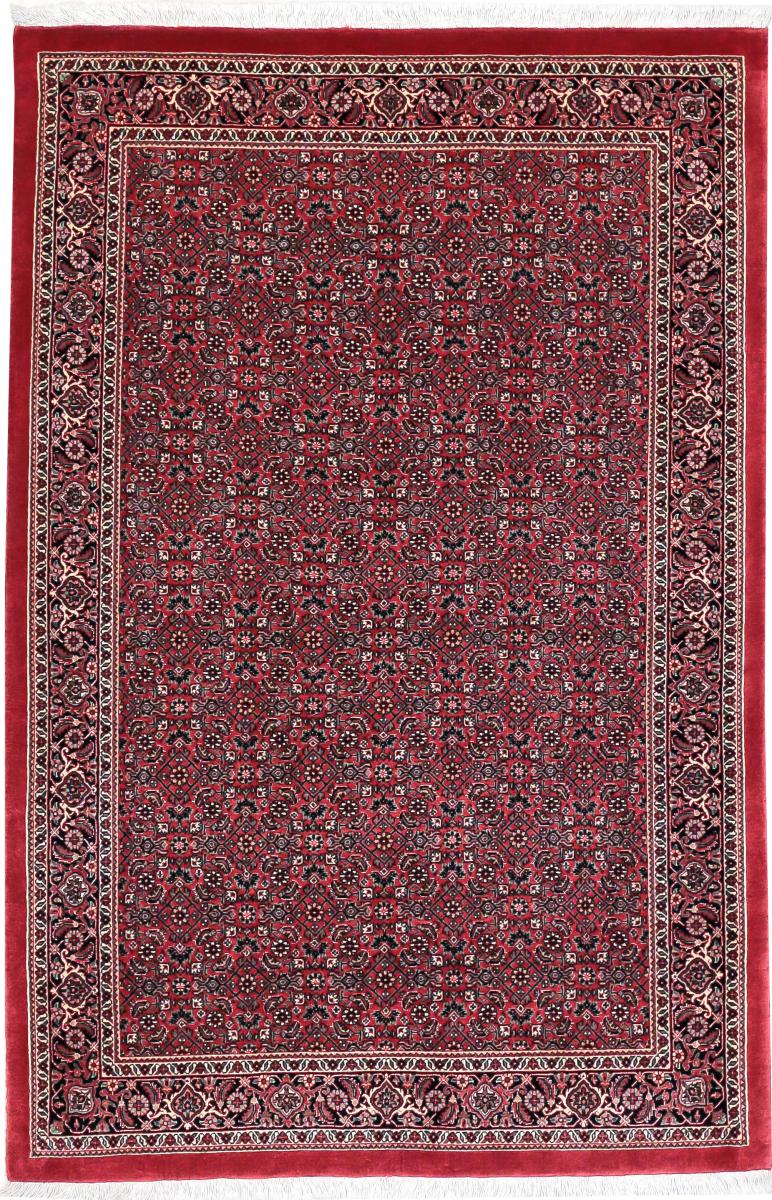 Tapis persan Bidjar Tekab 173x115 173x115, Tapis persan Noué à la main