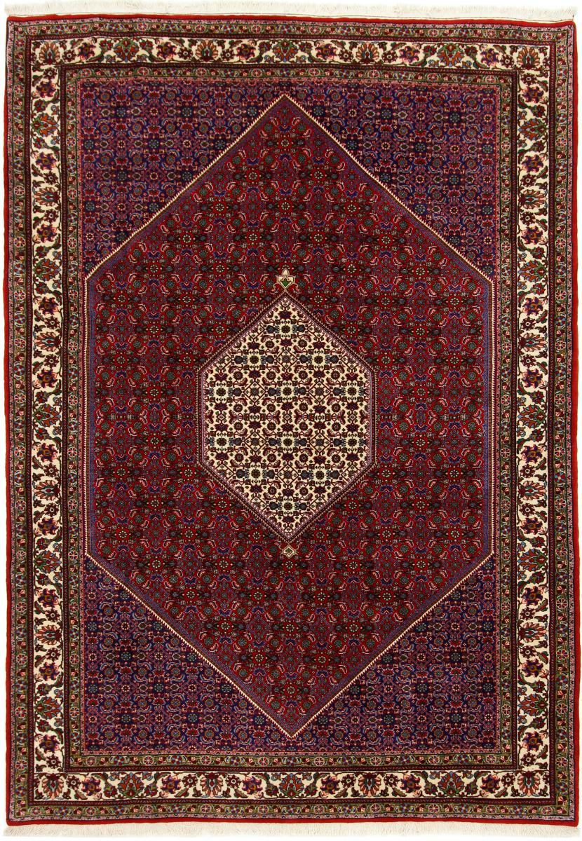 Persian Rug Bidjar 9'7"x6'8" 9'7"x6'8", Persian Rug Knotted by hand