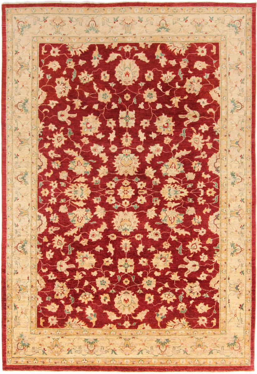Pakistani rug Ziegler Farahan 314x218 314x218, Persian Rug Knotted by hand