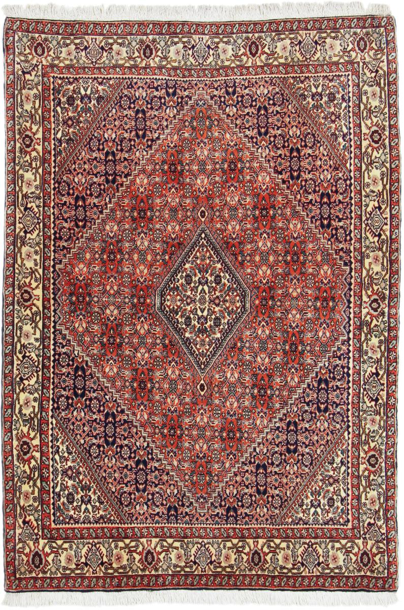 Persian Rug Bidjar 5'6"x3'8" 5'6"x3'8", Persian Rug Knotted by hand