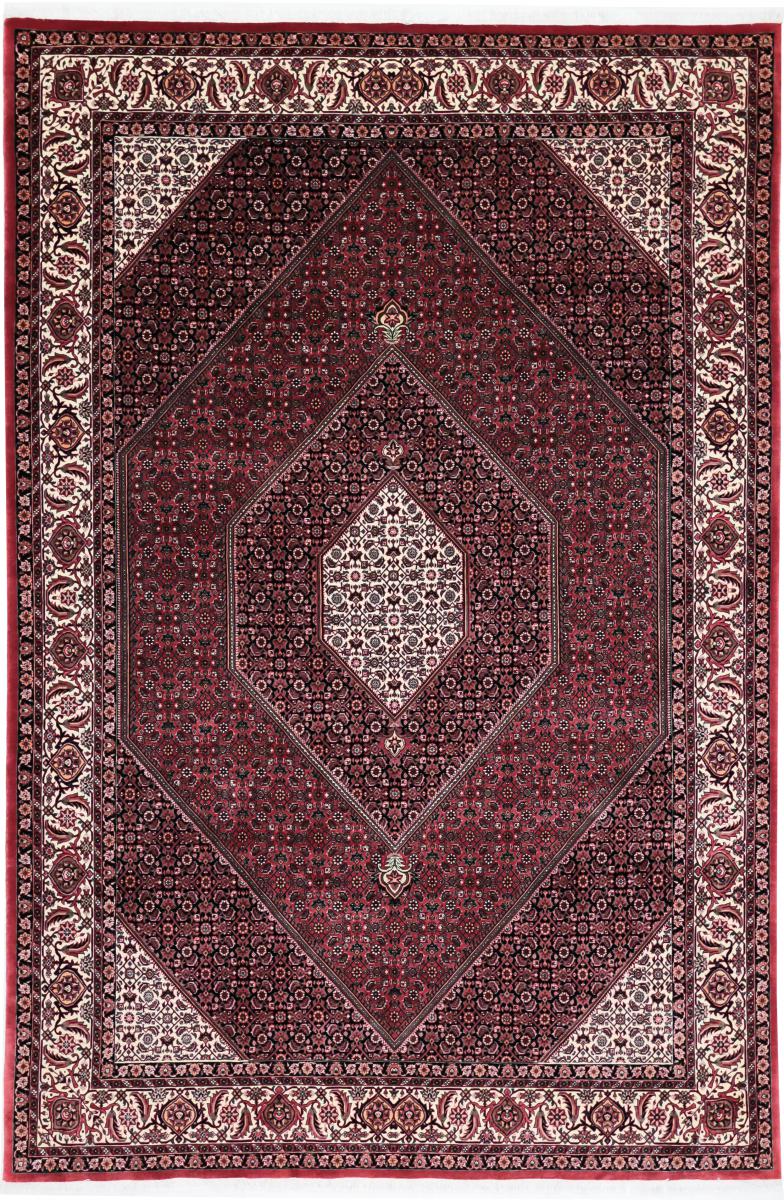 Persian Rug Bidjar Tekab 9'11"x6'5" 9'11"x6'5", Persian Rug Knotted by hand