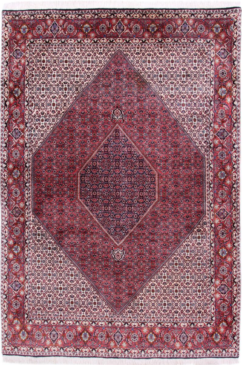 Persian Rug Bidjar 9'11"x6'9" 9'11"x6'9", Persian Rug Knotted by hand