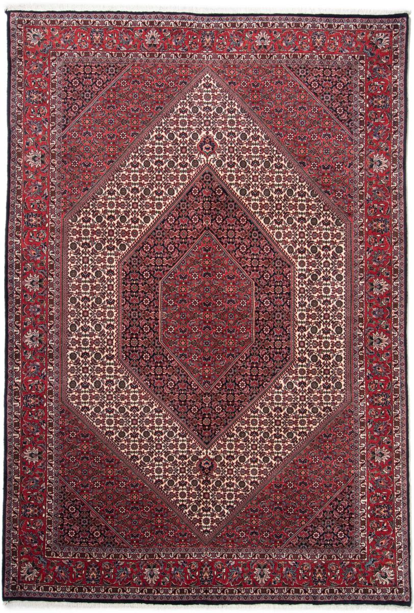 Tapis persan Bidjar 8'3"x5'8" 8'3"x5'8", Tapis persan Noué à la main