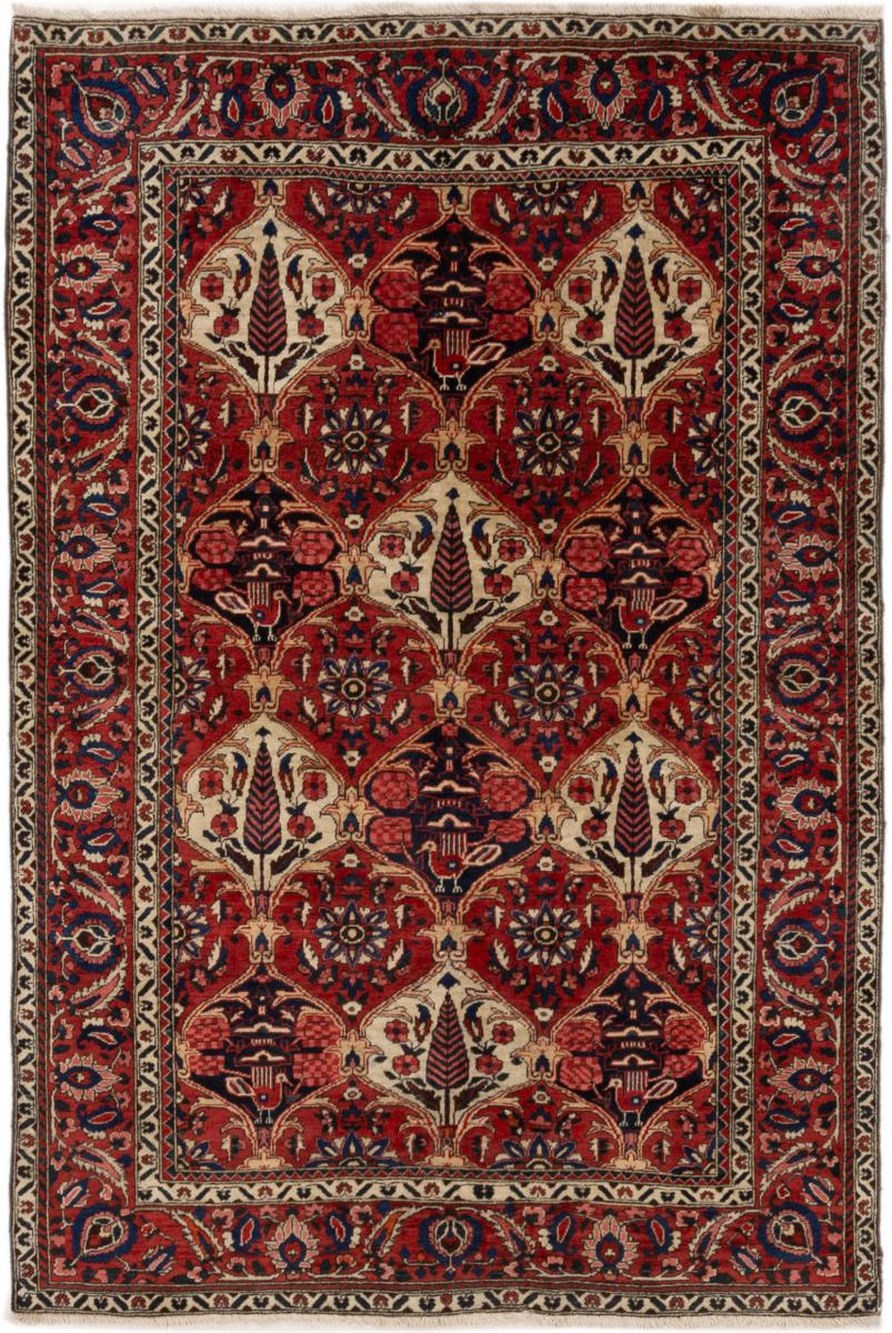 Persian Rug Bakhtiari 6'9"x4'7" 6'9"x4'7", Persian Rug Knotted by hand