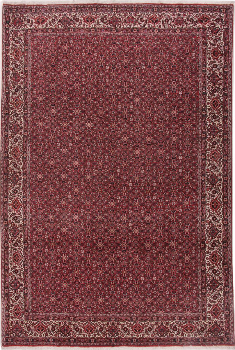 Persian Rug Bidjar 9'11"x6'7" 9'11"x6'7", Persian Rug Knotted by hand