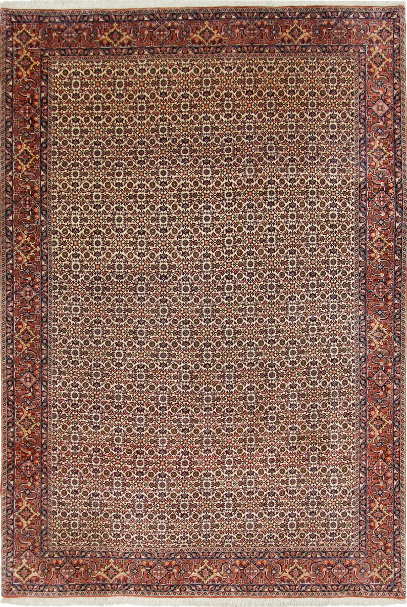 Persian Rug Bidjar 299x202 299x202, Persian Rug Knotted by hand