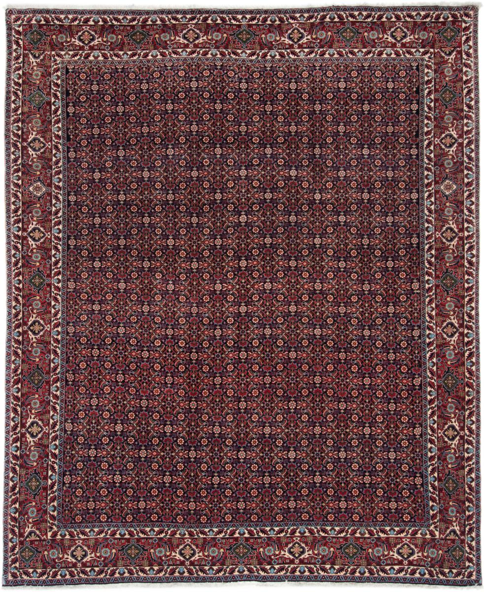 Persian Rug Bidjar 8'1"x6'8" 8'1"x6'8", Persian Rug Knotted by hand