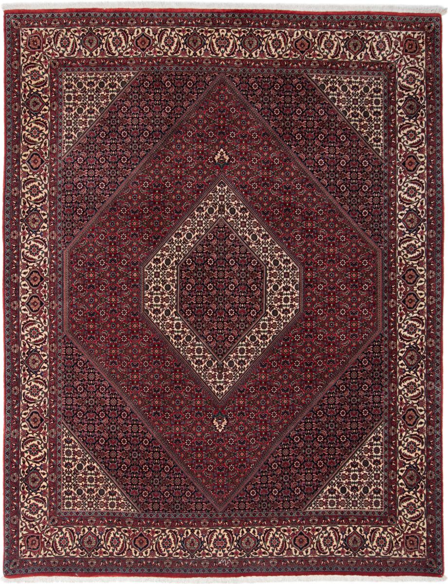 Persian Rug Bidjar 264x204 264x204, Persian Rug Knotted by hand