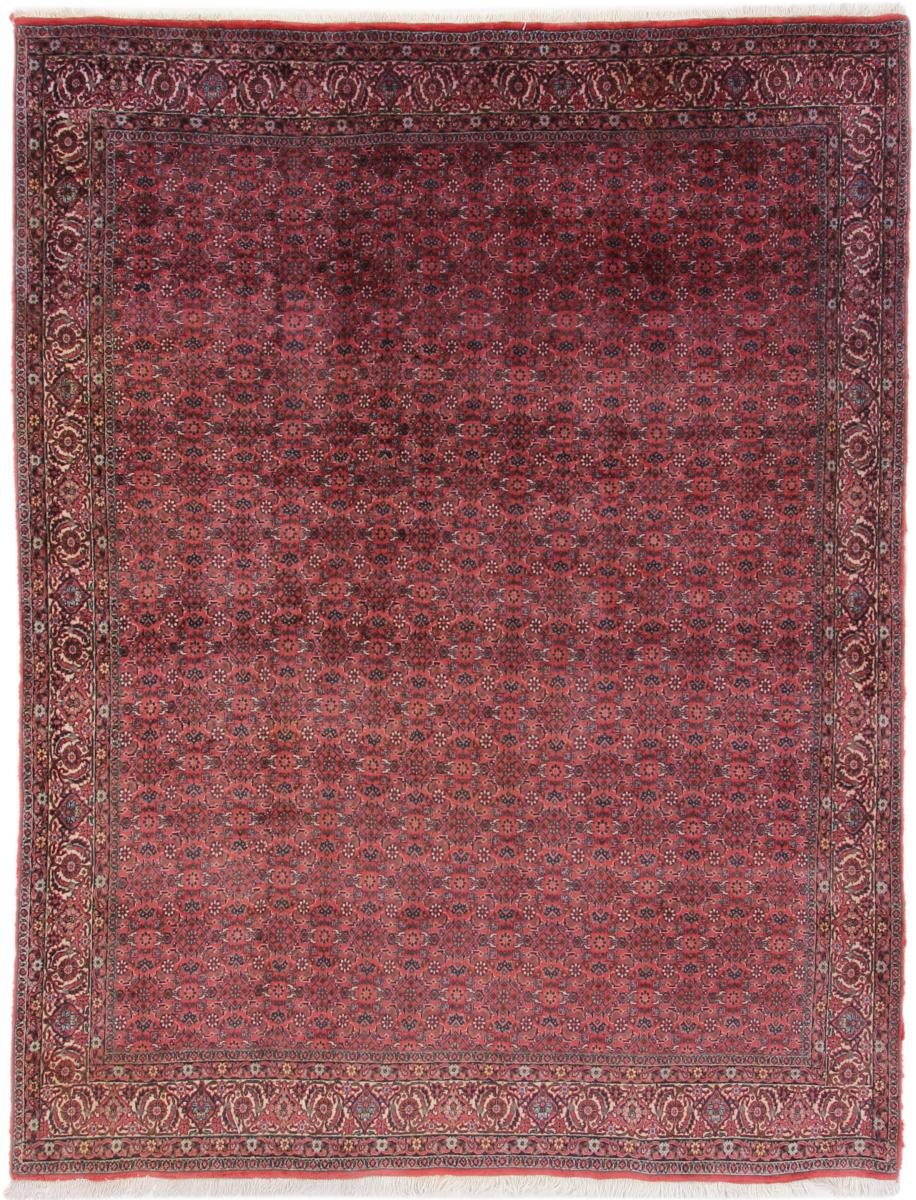  ペルシャ絨毯 ビジャー 253x203 253x203,  ペルシャ絨毯 手織り