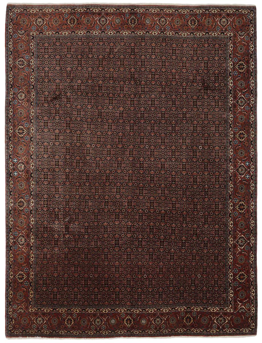 Persian Rug Bidjar 10'11"x8'4" 10'11"x8'4", Persian Rug Knotted by hand