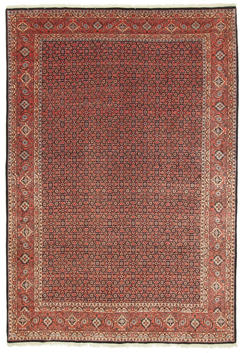 Persian Rug Bidjar Tekab 9'9"x6'7" 9'9"x6'7", Persian Rug Knotted by hand