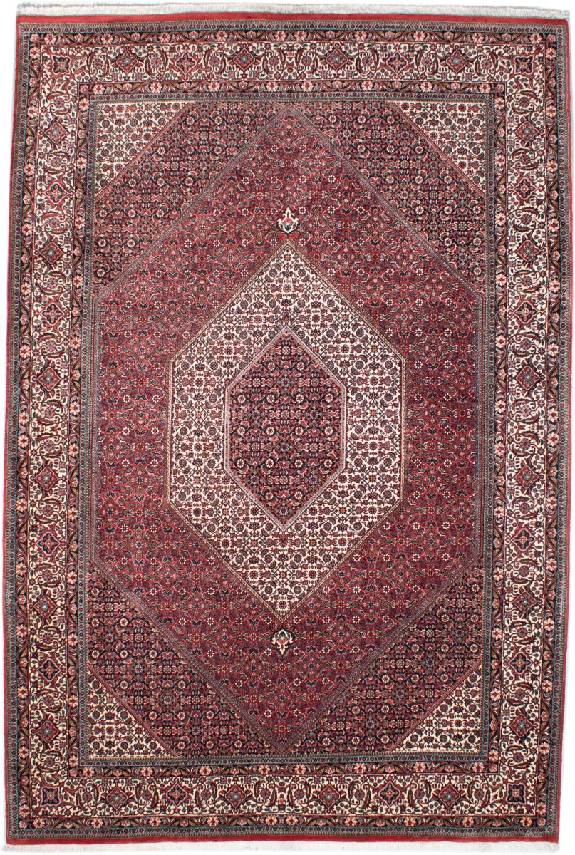 Persian Rug Bidjar 304x204 304x204, Persian Rug Knotted by hand