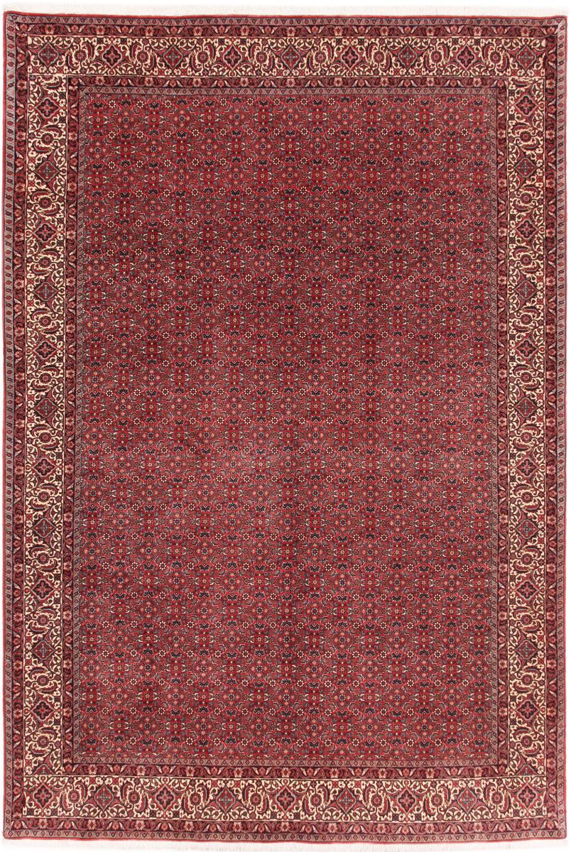 Persian Rug Bidjar 301x205 301x205, Persian Rug Knotted by hand