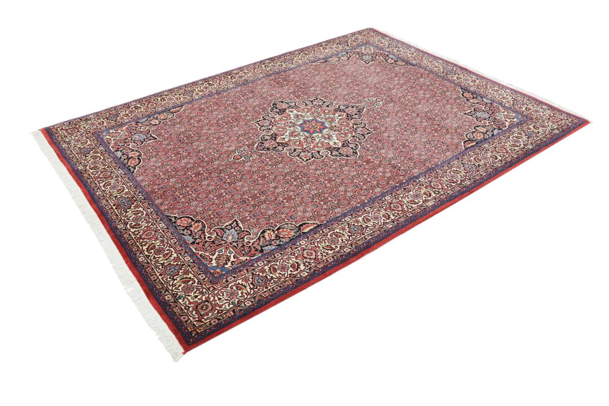 Persian Rug Bidjar 7'10"x5'9" 7'10"x5'9", Persian Rug Knotted by hand