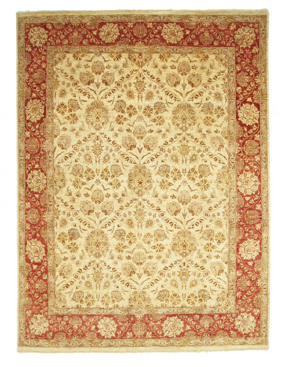 Pakisztáni szőnyeg Ziegler Farahan 10'0"x7'10" 10'0"x7'10", Perzsa szőnyeg Kézzel csomózva