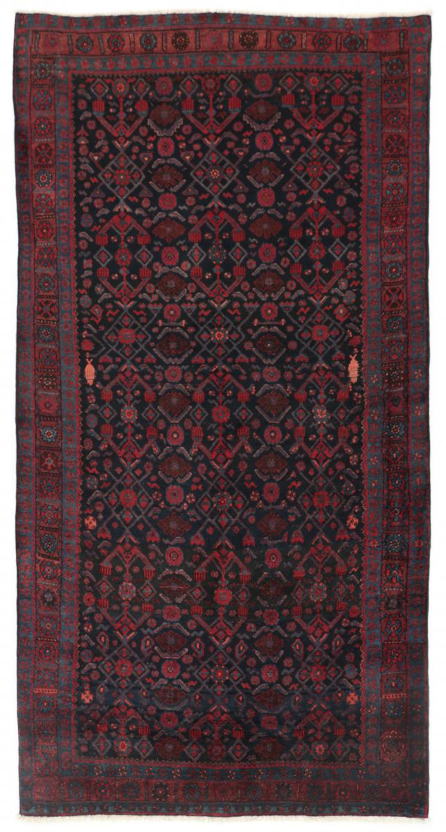 Persian Rug Koliai 249x139 249x139, Persian Rug Knotted by hand