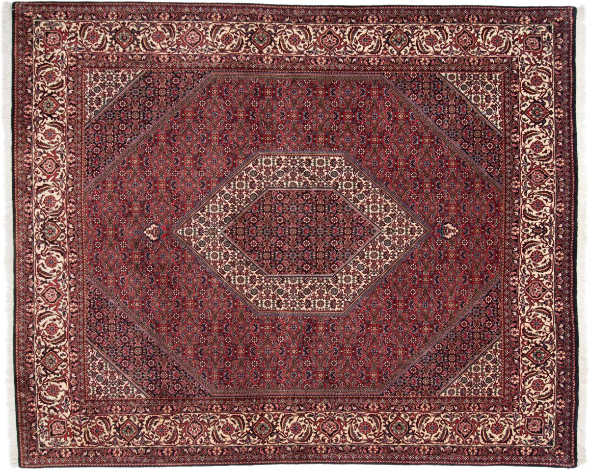 Persian Rug Bidjar 245x201 245x201, Persian Rug Knotted by hand