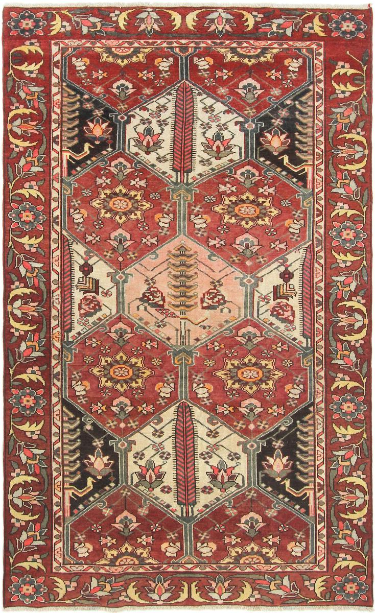Persialainen matto Bakhtiar 8'4"x4'11" 8'4"x4'11", Persialainen matto Solmittu käsin