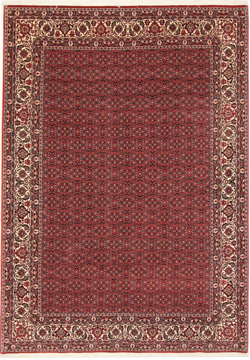 Persian Rug Bidjar 8'11"x7'2" 8'11"x7'2", Persian Rug Knotted by hand