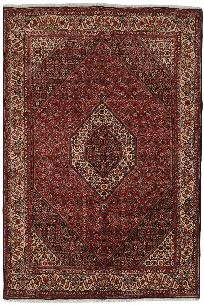 Persian Rug Bidjar Zanjan 9'7"x6'6" 9'7"x6'6", Persian Rug Knotted by hand
