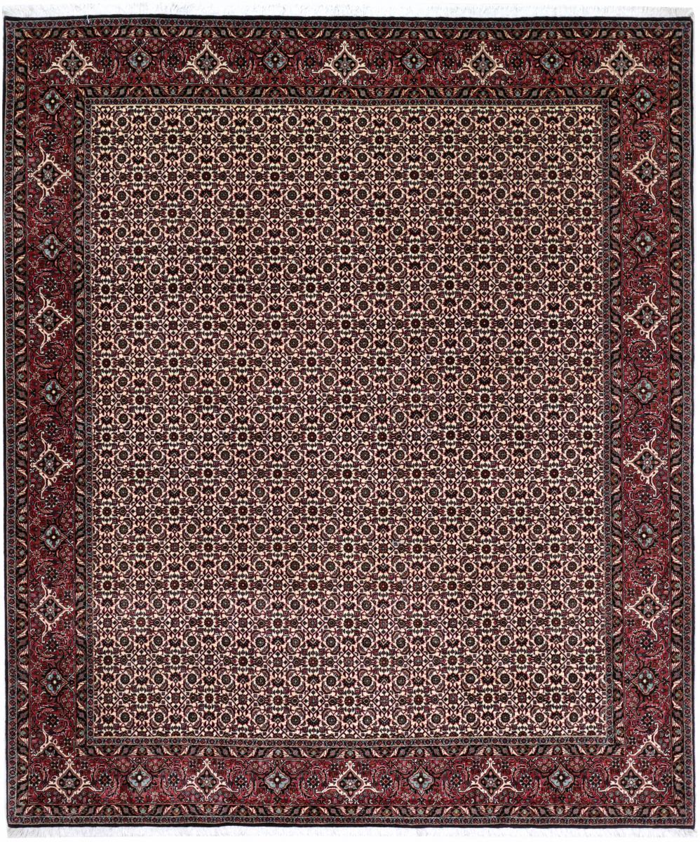 Tappeto persiano Bidjar Tekab 251x209 251x209, Tappeto persiano Annodato a mano