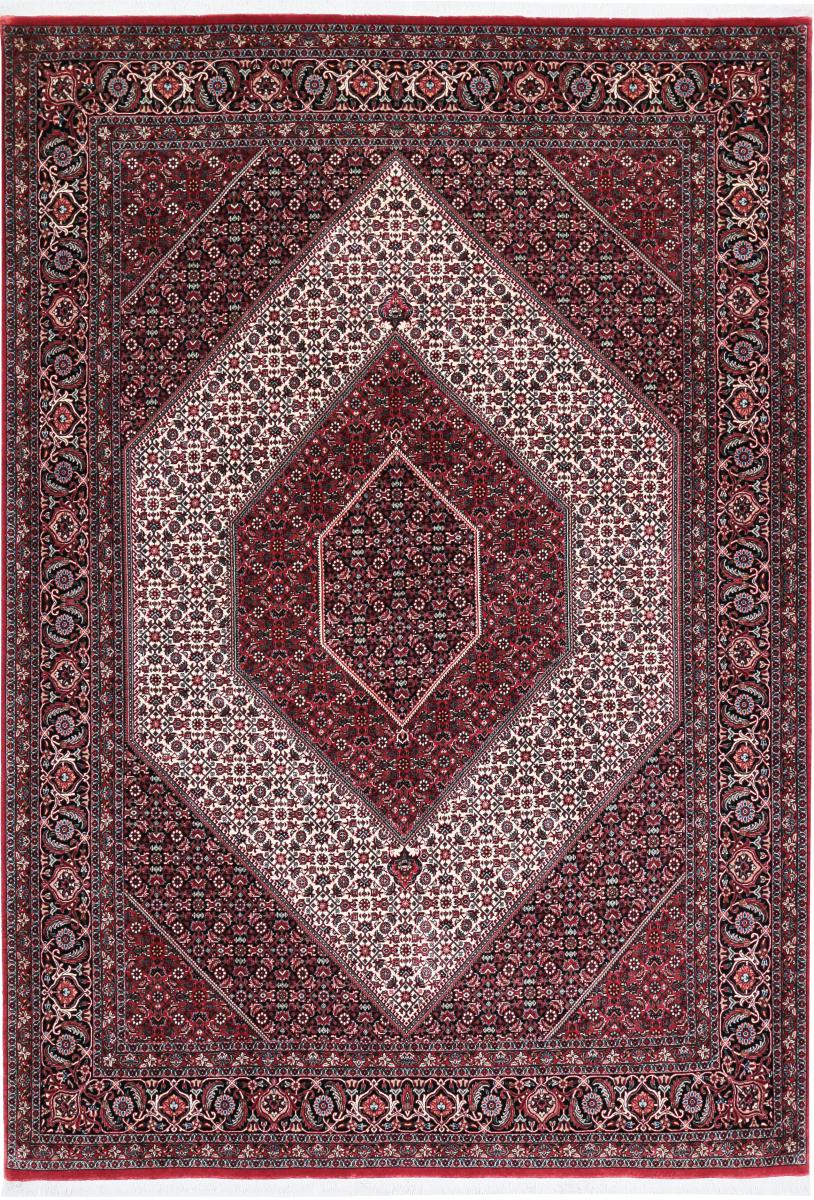 Persian Rug Bidjar Tekab 9'8"x6'8" 9'8"x6'8", Persian Rug Knotted by hand