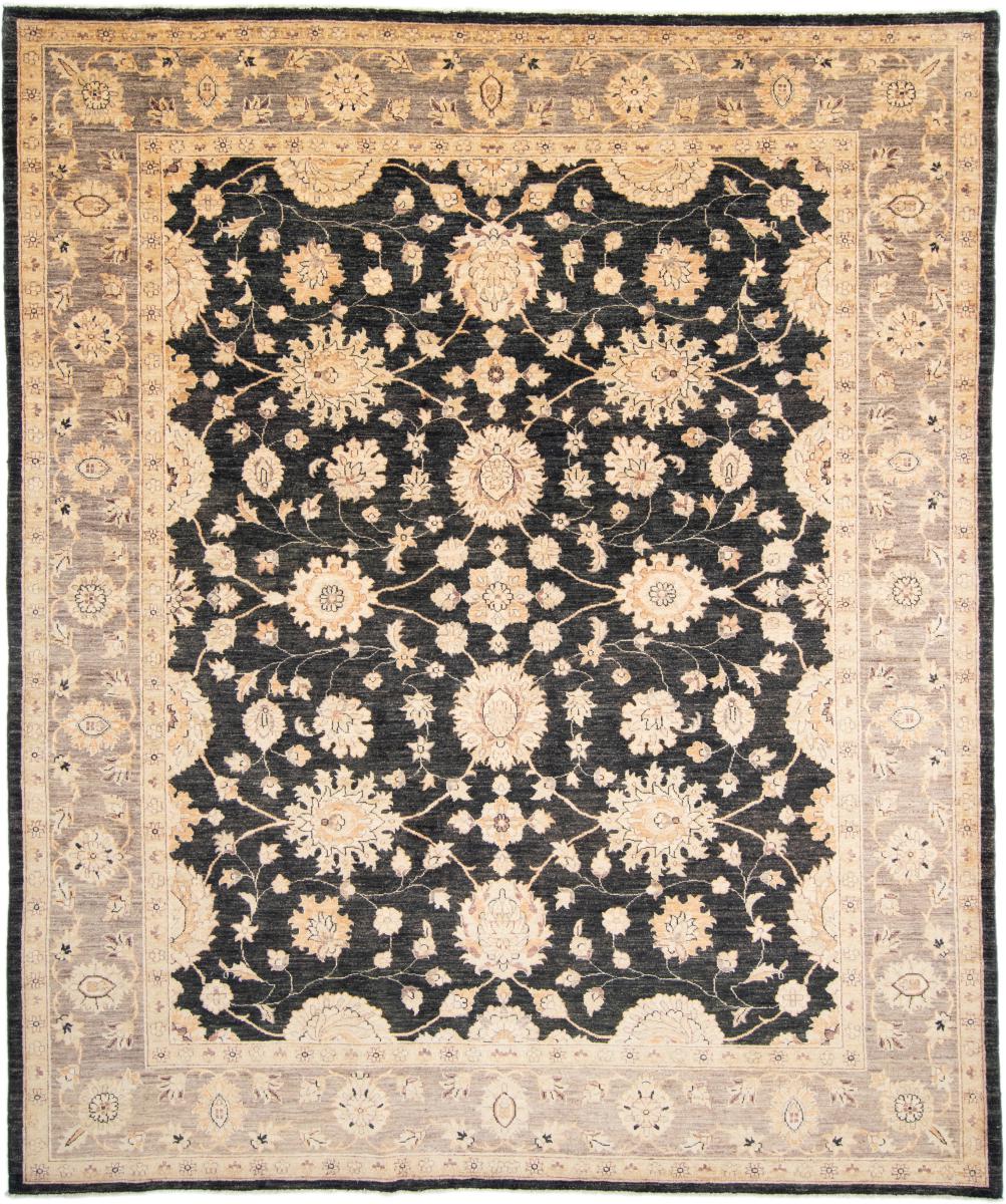 Pakisztáni szőnyeg Ziegler Farahan Arijana 9'10"x8'1" 9'10"x8'1", Perzsa szőnyeg Kézzel csomózva